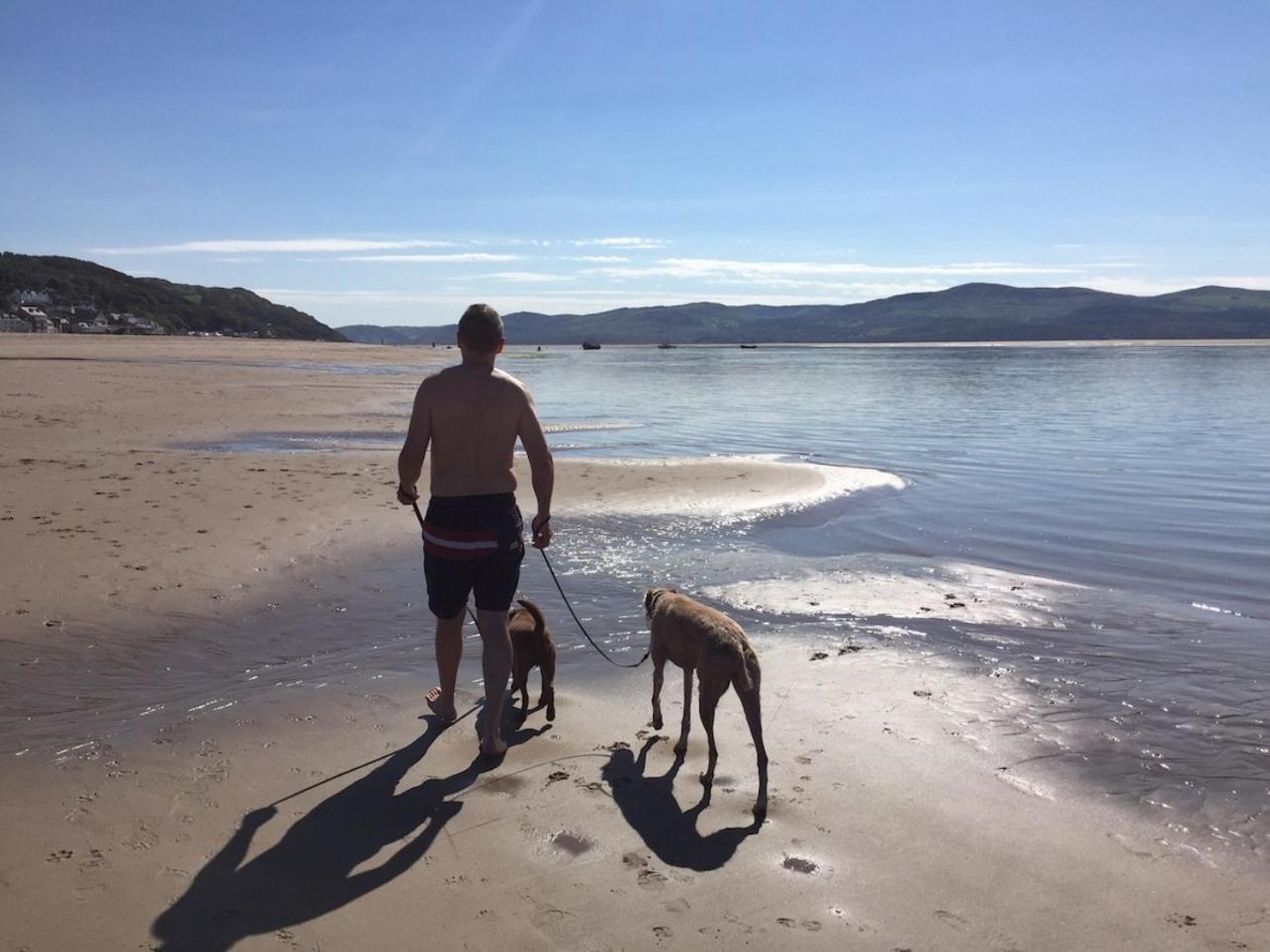 Sunny Shores Aberdyfi ภายนอก รูปภาพ